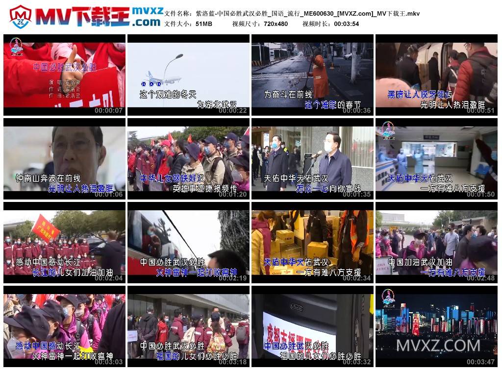 紫洛蓝-中国必胜武汉必胜_国语_流行_ME600630
